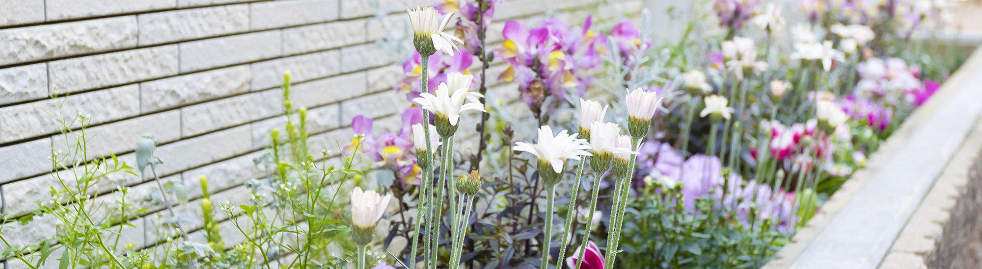 株式大鉄住宅-会社概要